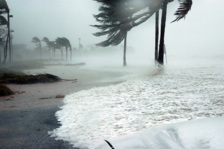 Prepare for a hurricane or windstorm